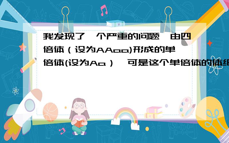 我发现了一个严重的问题,由四倍体（设为AAaa)形成的单倍体(设为Aa）,可是这个单倍体的体细胞中的染色体数要怎么等于它配子中的染色体数（A或者a)?配子中染色体数不是体细胞中的一半么