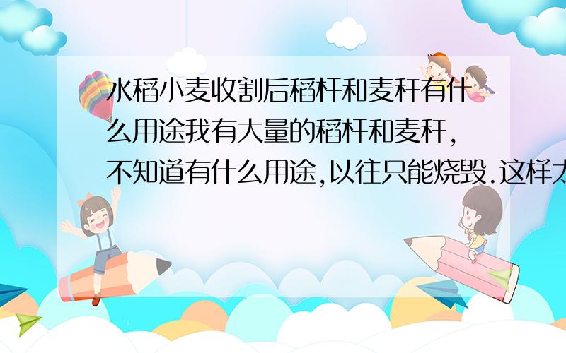 水稻小麦收割后稻杆和麦秆有什么用途我有大量的稻杆和麦秆,不知道有什么用途,以往只能烧毁.这样太污染环境了,我希望能变废为宝!