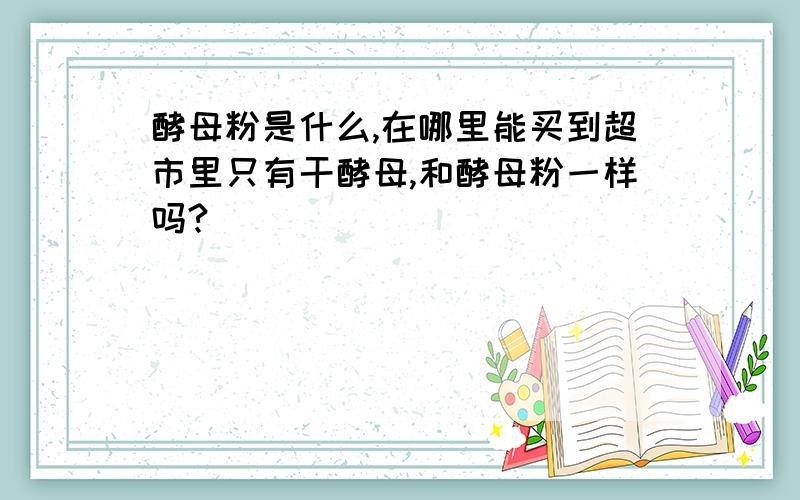 酵母粉是什么,在哪里能买到超市里只有干酵母,和酵母粉一样吗?