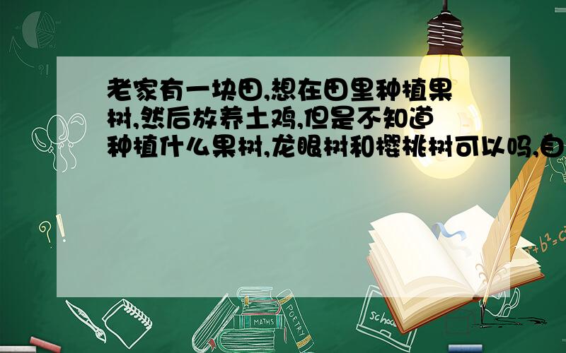 老家有一块田,想在田里种植果树,然后放养土鸡,但是不知道种植什么果树,龙眼树和樱桃树可以吗,自贡地势西北高、东南低.分为低山、丘陵、平坝、沟谷.气候属东亚季风环流控制范围,为亚