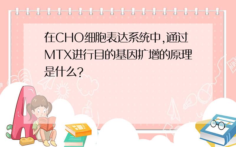 在CHO细胞表达系统中,通过MTX进行目的基因扩增的原理是什么?