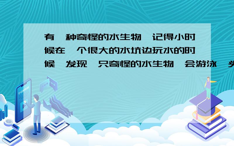 有一种奇怪的水生物,记得小时候在一个很大的水坑边玩水的时候,发现一只奇怪的水生物,会游泳,头上的触角是螳螂的前肢,有几条腿不记得了,有没有人知道这个虫子是什么东东.