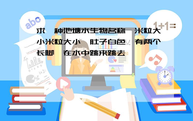 求一种池塘水生物名称,米粒大小米粒大小,肚子白色,有两个长脚,在水中跳来跳去