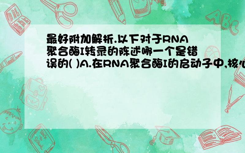 最好附加解析.以下对于RNA聚合酶I转录的陈述哪一个是错误的( )A.在RNA聚合酶I的启动子中,核心元件是上游调控元件(UCE)下游的1000个碱基B.上游结合因子(UBF)与UCE和RNA聚合酶I启动子核心元件的