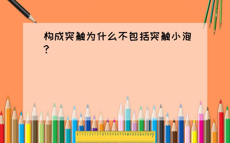 构成突触为什么不包括突触小泡?