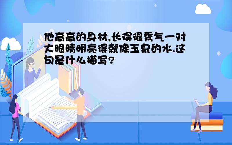 他高高的身材,长得很秀气一对大眼睛明亮得就像玉泉的水.这句是什么描写?