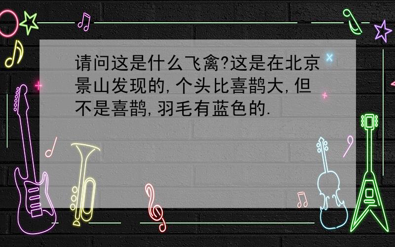 请问这是什么飞禽?这是在北京景山发现的,个头比喜鹊大,但不是喜鹊,羽毛有蓝色的.