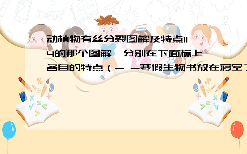 动植物有丝分裂图解及特点114的那个图解,分别在下面标上各自的特点（- -寒假生物书放在寝室了,没带回来）