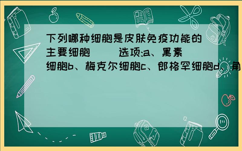 下列哪种细胞是皮肤免疫功能的主要细胞( )选项:a、黑素细胞b、梅克尔细胞c、郎格罕细胞d、角质细胞