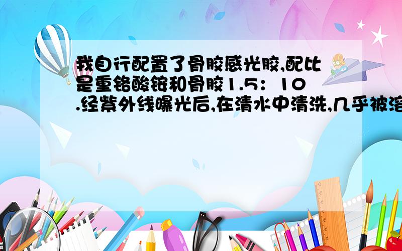 我自行配置了骨胶感光胶,配比是重铬酸铵和骨胶1.5：10.经紫外线曝光后,在清水中清洗,几乎被溶解.