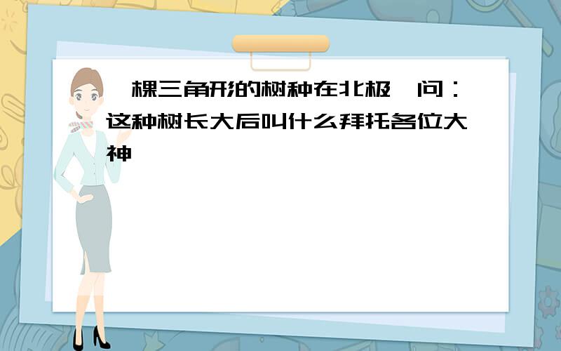 一棵三角形的树种在北极,问：这种树长大后叫什么拜托各位大神