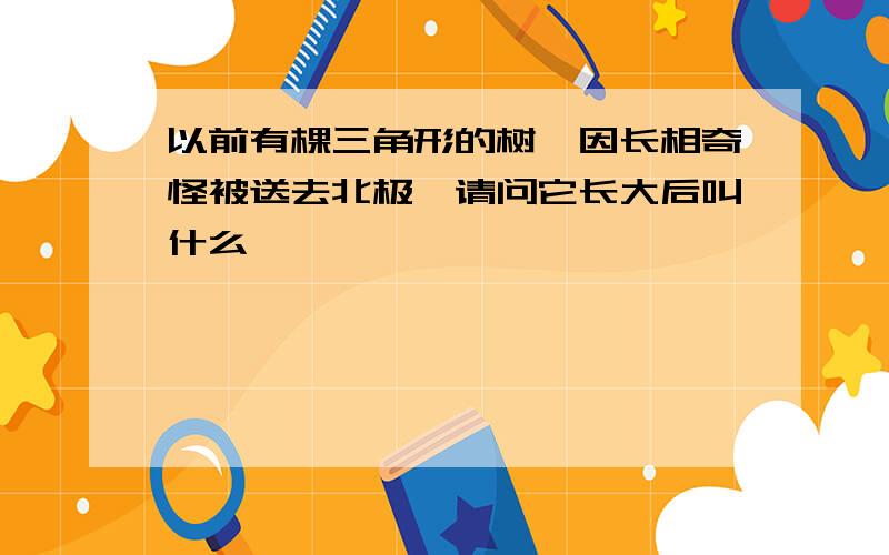 以前有棵三角形的树,因长相奇怪被送去北极,请问它长大后叫什么