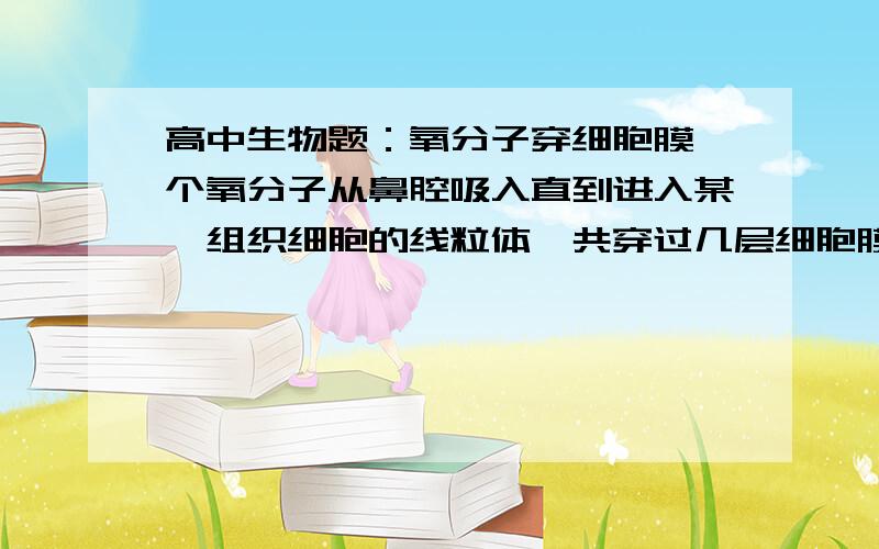 高中生物题：氧分子穿细胞膜一个氧分子从鼻腔吸入直到进入某一组织细胞的线粒体,共穿过几层细胞膜?请略加说明.3L,你为什么说线粒体膜不算细胞膜，什么逻辑啊……