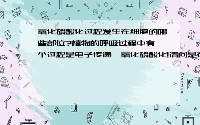 氧化磷酸化过程发生在细胞的哪些部位?植物的呼吸过程中有一个过程是电子传递,氧化磷酸化!请问是在细胞的什么部位发生的?