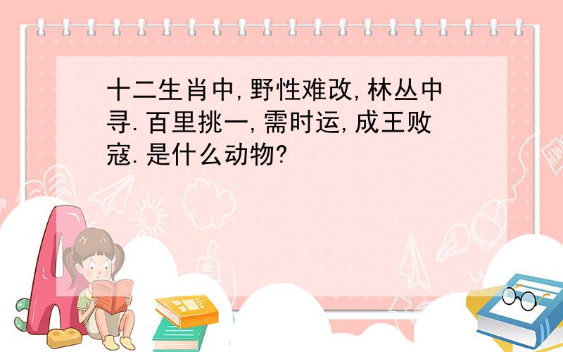 十二生肖中,野性难改,林丛中寻.百里挑一,需时运,成王败寇.是什么动物?