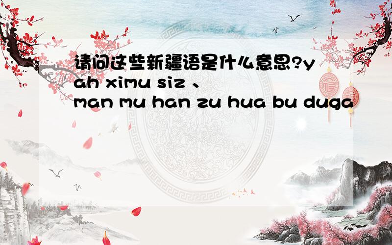 请问这些新疆语是什么意思?yah ximu siz 、 man mu han zu hua bu duga