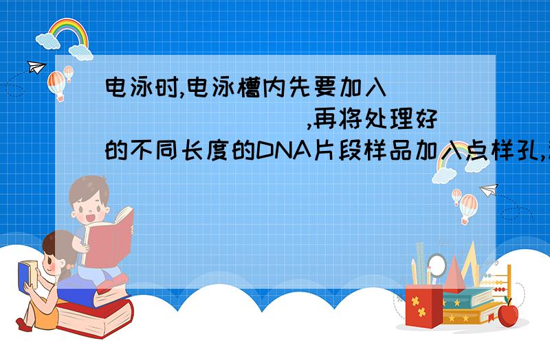 电泳时,电泳槽内先要加入__________,再将处理好的不同长度的DNA片段样品加入点样孔,利用待分离样品的性质,使它们在电场作用下产生不同的____________,从而实现样品中各分子的分离和鉴定.