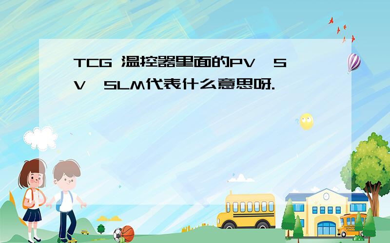 TCG 温控器里面的PV、SV、SLM代表什么意思呀.