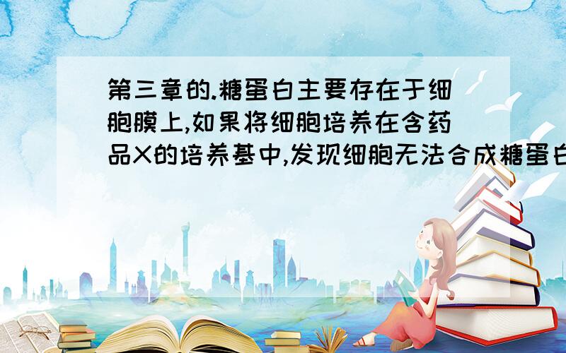 第三章的.糖蛋白主要存在于细胞膜上,如果将细胞培养在含药品X的培养基中,发现细胞无法合成糖蛋白的糖侧链,则此药品可能作用于糖蛋白合成及运输过程中的哪一个细胞器上?为什么?