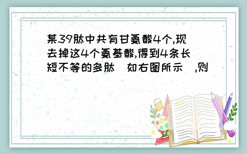 某39肽中共有甘氨酸4个,现去掉这4个氨基酸,得到4条长短不等的多肽(如右图所示),则