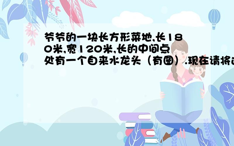 爷爷的一块长方形菜地,长180米,宽120米,长的中间点处有一个自来水龙头（有图）.现在请将这块地分成面积相等的三块,并且每块都要与自来水龙头连接.请画一画,再计算说明一下.