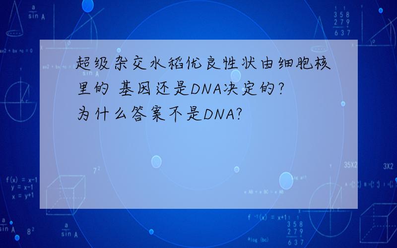 超级杂交水稻优良性状由细胞核里的 基因还是DNA决定的?为什么答案不是DNA?