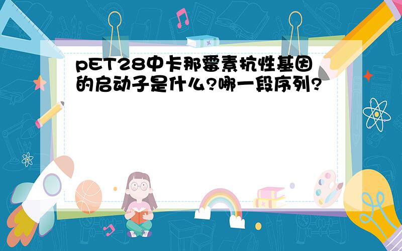 pET28中卡那霉素抗性基因的启动子是什么?哪一段序列?