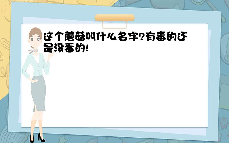 这个蘑菇叫什么名字?有毒的还是没毒的!