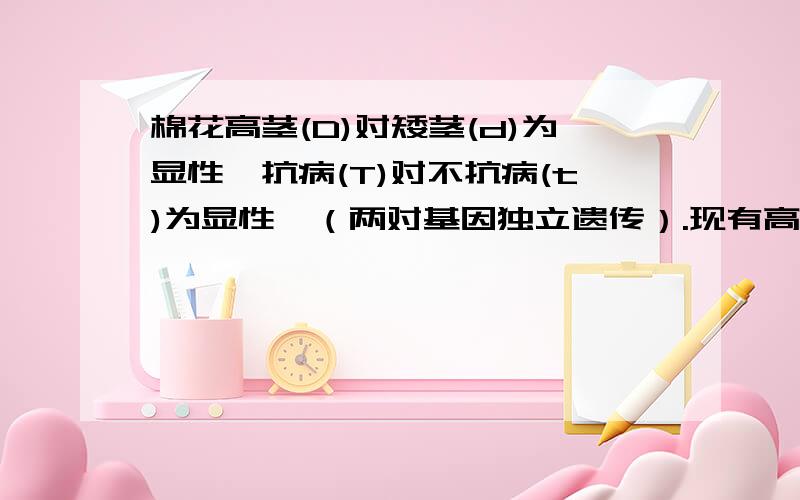 棉花高茎(D)对矮茎(d)为显性,抗病(T)对不抗病(t)为显性,（两对基因独立遗传）.现有高茎抗病纯合子和矮茎不抗病纯合子两个亲本杂交,想要获得矮茎抗病纯合新品种,请用杂交育种的方法设计