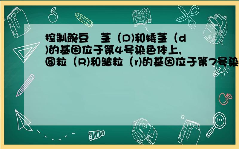 控制豌豆髙茎（D)和矮茎（d)的基因位于第4号染色体上,圆粒（R)和皱粒（r)的基因位于第7号染色体上.高茎豌豆的产量更高,皱粒豌豆的蔗糖含量高,味道更甜美.现有高茎圆粒和矮茎皱粒两个纯