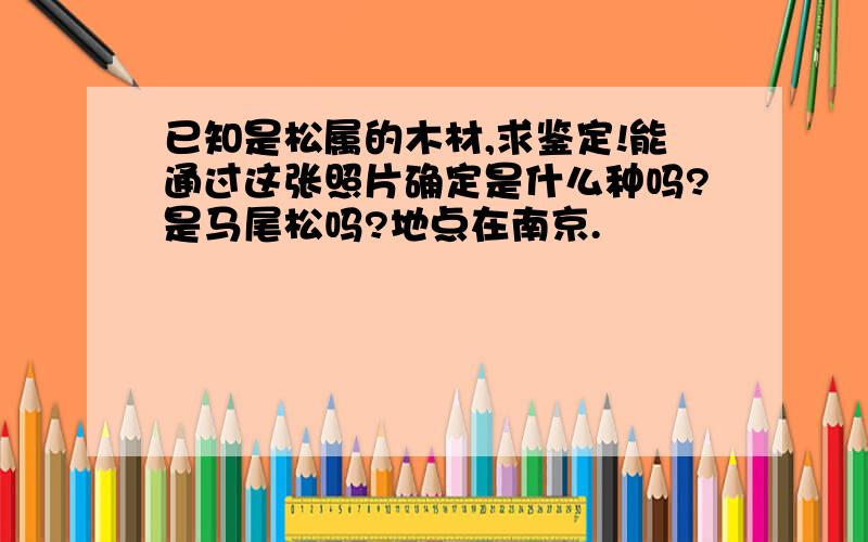 已知是松属的木材,求鉴定!能通过这张照片确定是什么种吗?是马尾松吗?地点在南京.