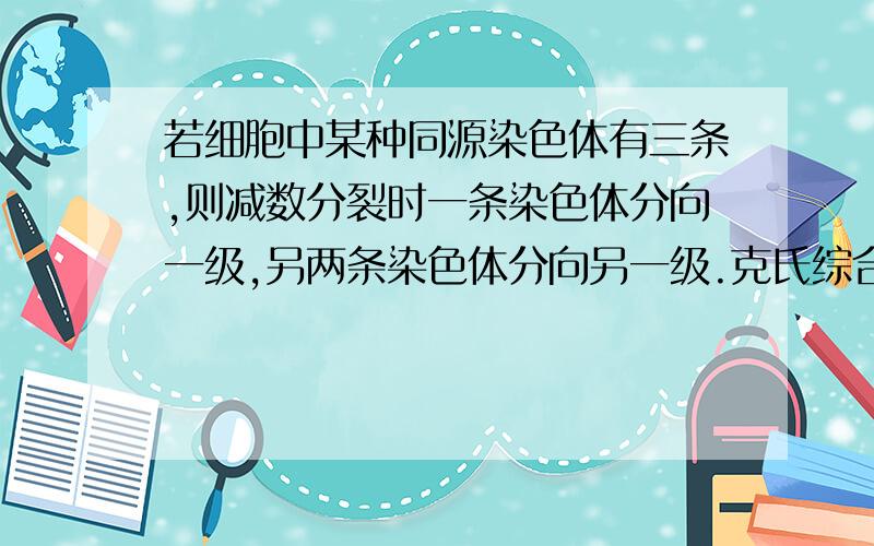 若细胞中某种同源染色体有三条,则减数分裂时一条染色体分向一级,另两条染色体分向另一级.克氏综合征是人类的一种遗传病（染色体组成为44+XXY）,患克氏综合征的男性有97%的可能性不能生