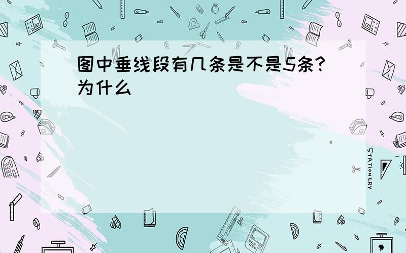 图中垂线段有几条是不是5条?为什么