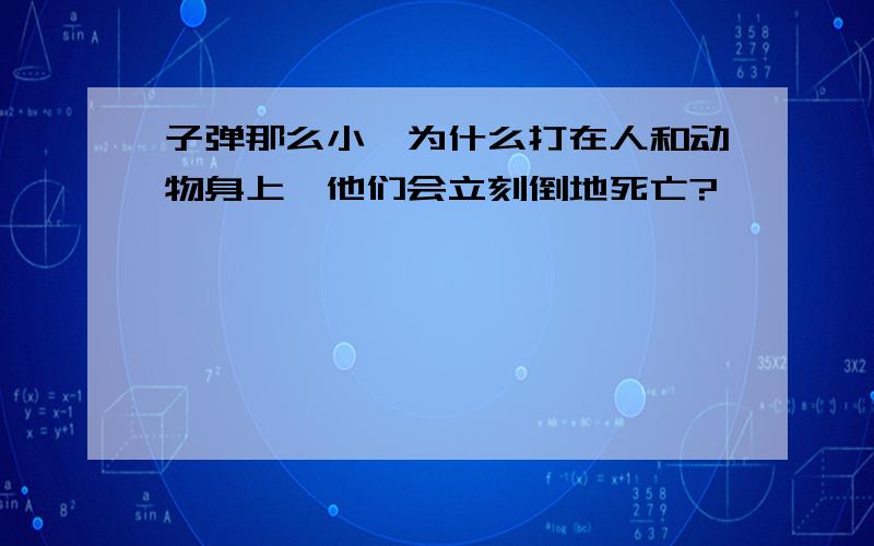 子弹那么小,为什么打在人和动物身上,他们会立刻倒地死亡?