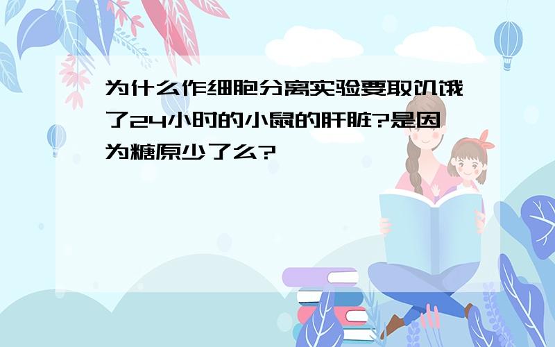 为什么作细胞分离实验要取饥饿了24小时的小鼠的肝脏?是因为糖原少了么?