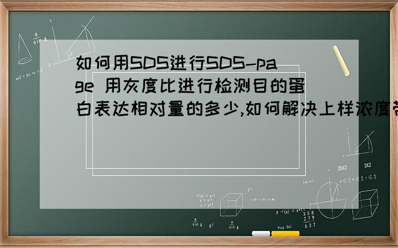 如何用SDS进行SDS-page 用灰度比进行检测目的蛋白表达相对量的多少,如何解决上样浓度带来的误差?是否能以一个管家基因表达的蛋白为参照?其菌种为bl21(de3),若能解决请给出其表达的蛋白大小