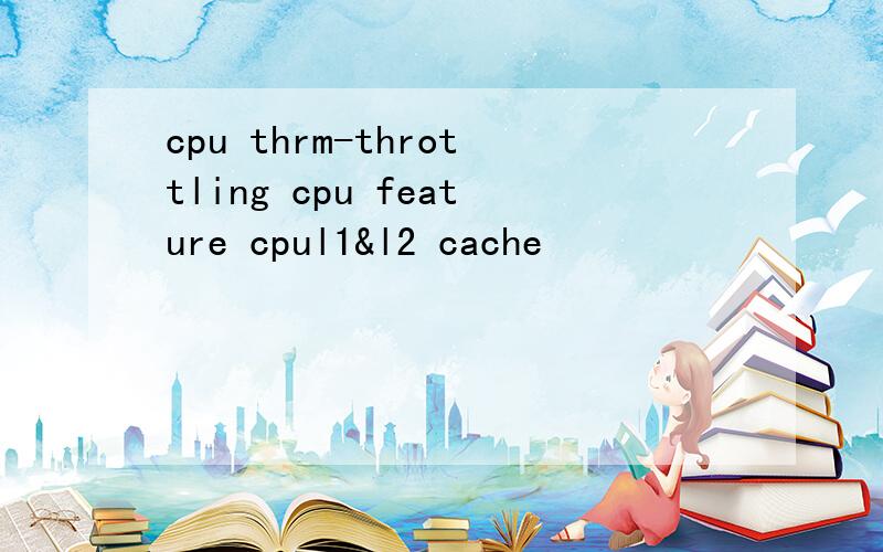 cpu thrm-throttling cpu feature cpul1&l2 cache