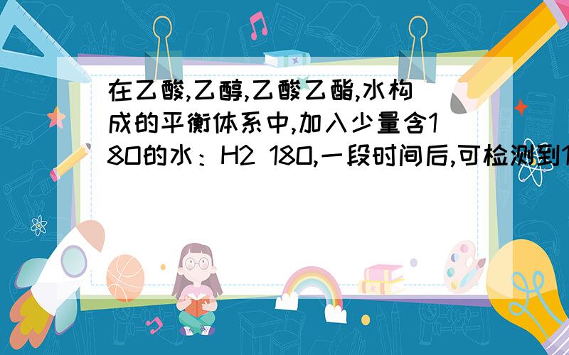 在乙酸,乙醇,乙酸乙酯,水构成的平衡体系中,加入少量含18O的水：H2 18O,一段时间后,可检测到18O在那些物质中（）A乙酸,乙酸乙酯,水 B乙醇,乙酸乙酯,水C乙醇,水 D乙酸,水为什么乙酸乙酯中没有?