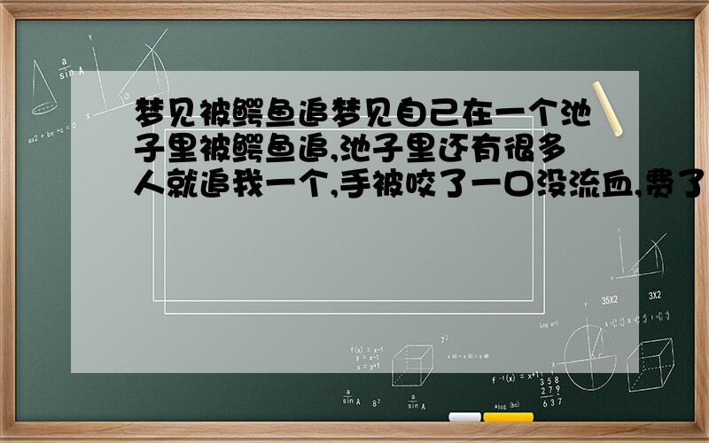 梦见被鳄鱼追梦见自己在一个池子里被鳄鱼追,池子里还有很多人就追我一个,手被咬了一口没流血,费了很大劲最后爬上岸,岸上也有很多人在欢呼.求高手解这个梦意味着什么?