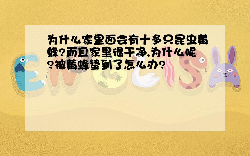 为什么家里面会有十多只昆虫黄蜂?而且家里很干净,为什么呢?被黄蜂蛰到了怎么办?