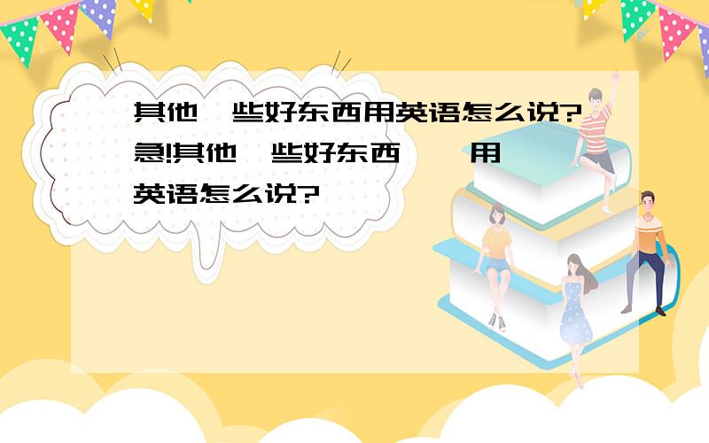 其他一些好东西用英语怎么说?急!其他一些好东西    用英语怎么说?