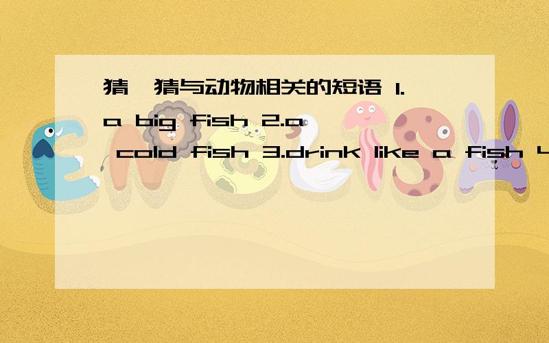 猜一猜与动物相关的短语 1.a big fish 2.a cold fish 3.drink like a fish 4.dog