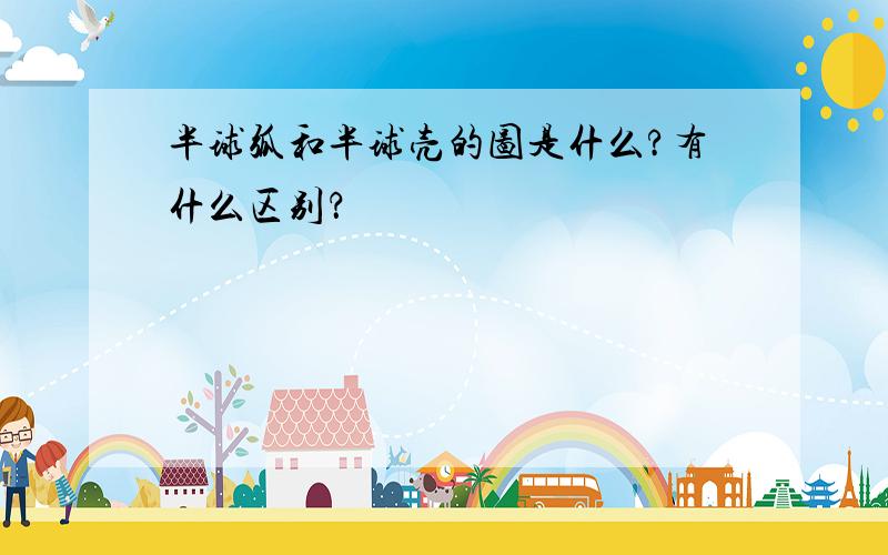 半球弧和半球壳的图是什么?有什么区别？