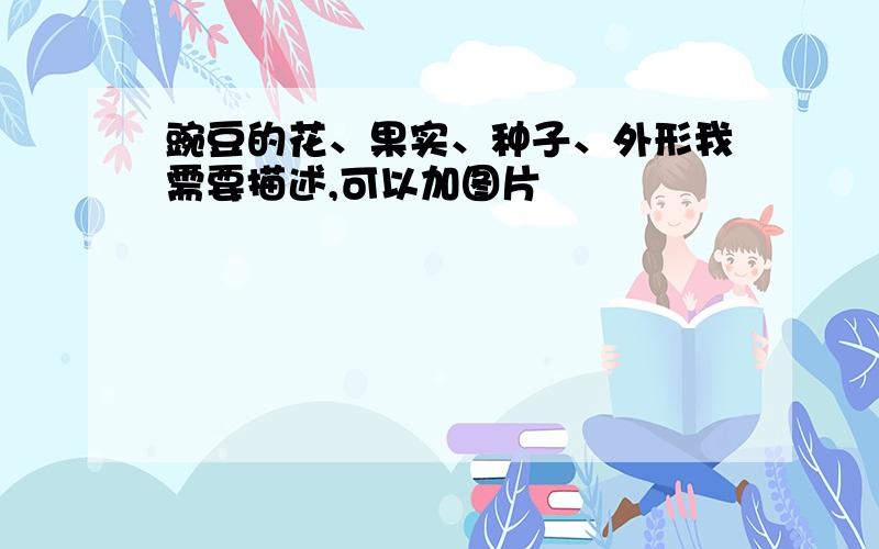 豌豆的花、果实、种子、外形我需要描述,可以加图片