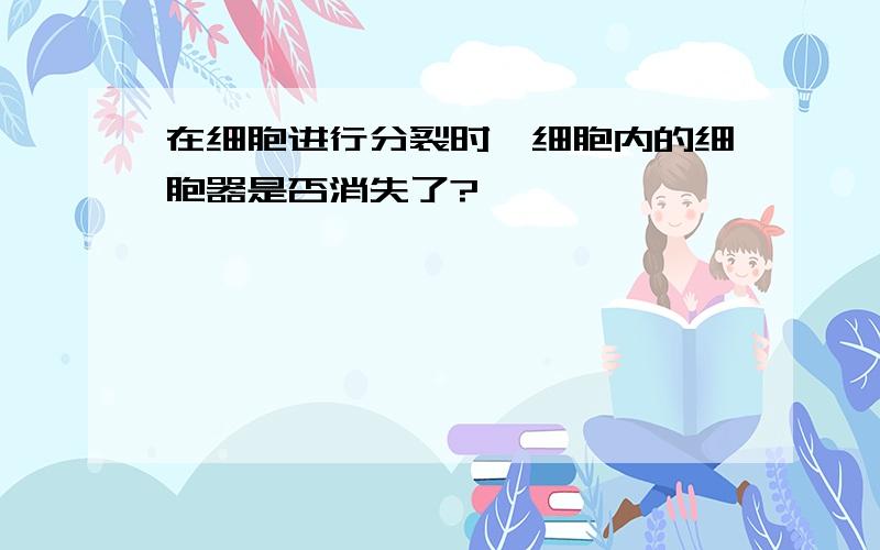 在细胞进行分裂时,细胞内的细胞器是否消失了?