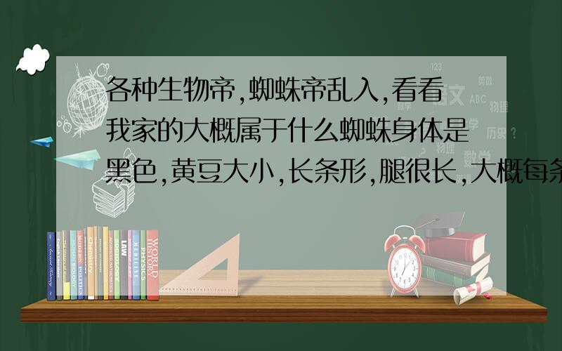 各种生物帝,蜘蛛帝乱入,看看我家的大概属于什么蜘蛛身体是黑色,黄豆大小,长条形,腿很长,大概每条3厘米,腿细.