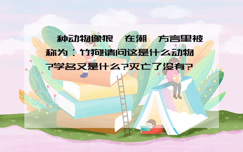 一种动物像狼,在潮汕方言里被称为：竹狗!请问这是什么动物?学名又是什么?灭亡了没有?