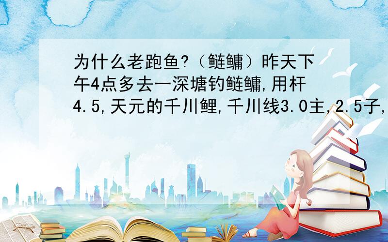 为什么老跑鱼?（鲢鳙）昨天下午4点多去一深塘钓鲢鳙,用杆4.5,天元的千川鲤,千川线3.0主,2.5子,新关东3号钩.天元的至尊50%加草莓香鲫%30加天元的鲢鳙伴侣20%.鱼具店买的彭氏酸饵打窝.打窝后