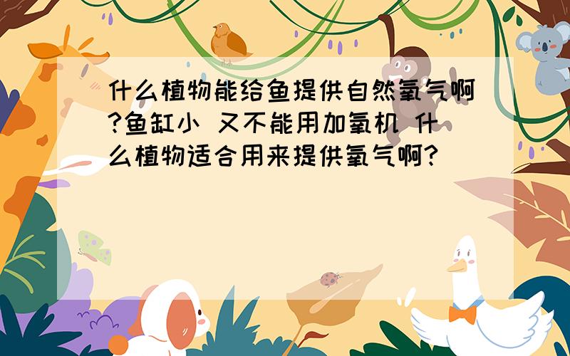 什么植物能给鱼提供自然氧气啊?鱼缸小 又不能用加氧机 什么植物适合用来提供氧气啊?