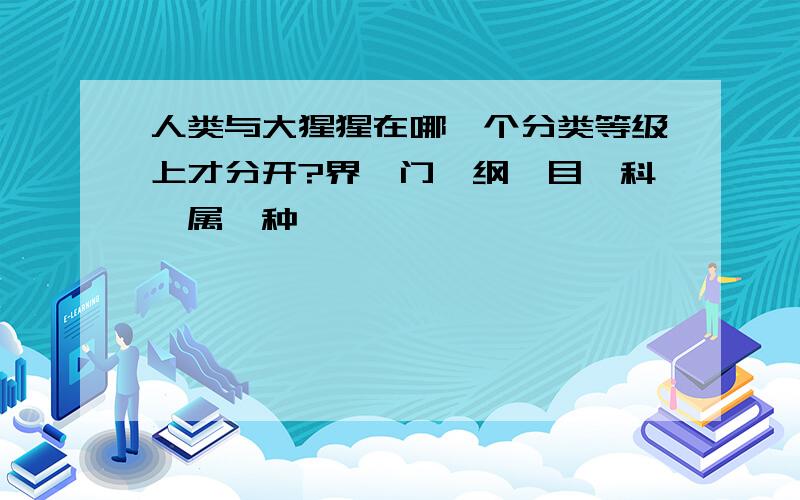 人类与大猩猩在哪一个分类等级上才分开?界、门、纲、目、科、属、种